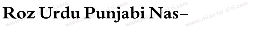 Roz Urdu Punjabi Nas字体转换